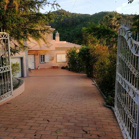 Vila Casa Loureiro - Vista Rio Douro Resende Exteriér fotografie