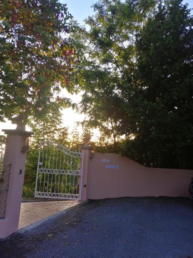 Vila Casa Loureiro - Vista Rio Douro Resende Exteriér fotografie