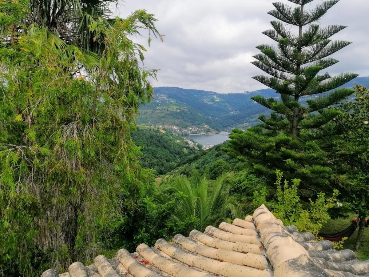 Vila Casa Loureiro - Vista Rio Douro Resende Exteriér fotografie