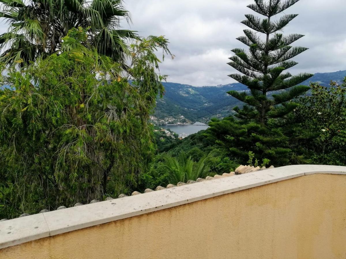 Vila Casa Loureiro - Vista Rio Douro Resende Exteriér fotografie