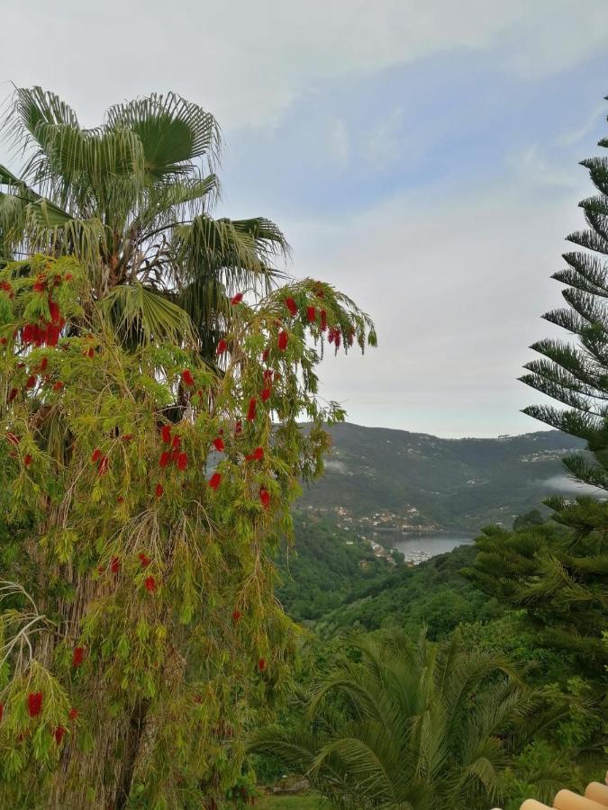 Vila Casa Loureiro - Vista Rio Douro Resende Exteriér fotografie
